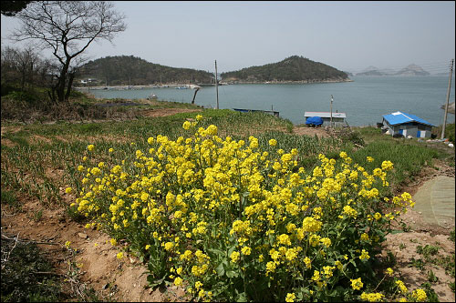 새만금 방조제와 연결된 오솔길에서 본 신시도 포구 